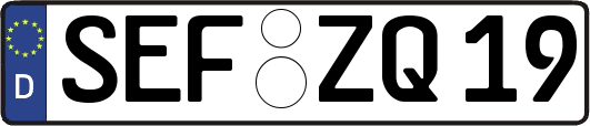 SEF-ZQ19