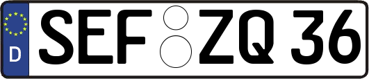 SEF-ZQ36