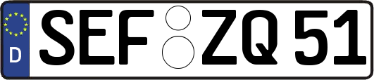 SEF-ZQ51
