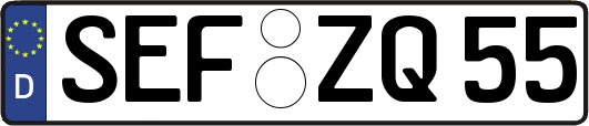 SEF-ZQ55