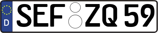 SEF-ZQ59