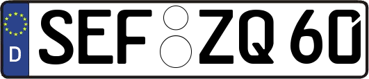 SEF-ZQ60