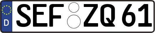 SEF-ZQ61