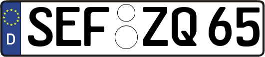 SEF-ZQ65