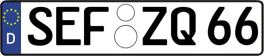 SEF-ZQ66