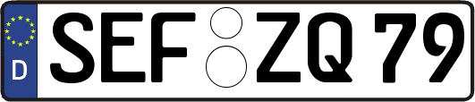 SEF-ZQ79