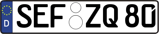 SEF-ZQ80