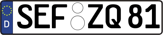 SEF-ZQ81