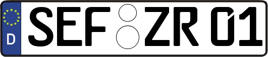 SEF-ZR01