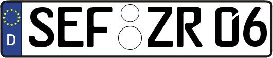 SEF-ZR06