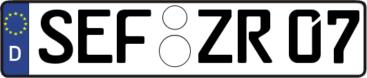 SEF-ZR07