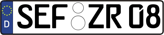 SEF-ZR08