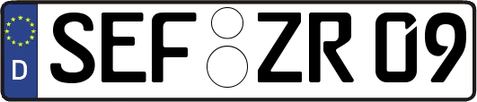 SEF-ZR09