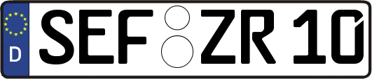 SEF-ZR10