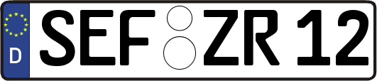 SEF-ZR12