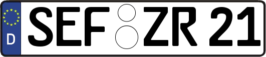 SEF-ZR21