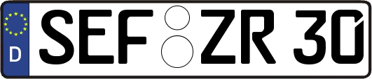 SEF-ZR30