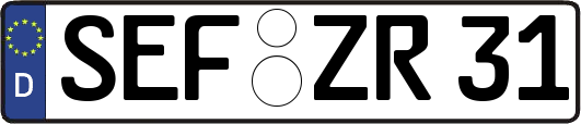 SEF-ZR31