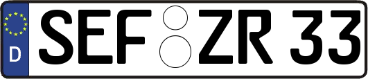 SEF-ZR33