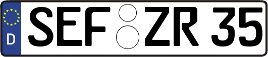 SEF-ZR35