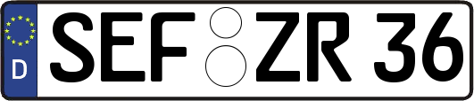 SEF-ZR36