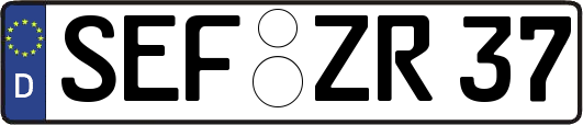 SEF-ZR37