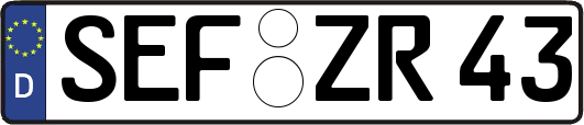 SEF-ZR43