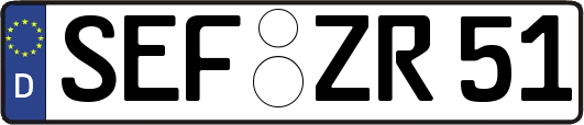 SEF-ZR51
