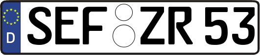 SEF-ZR53