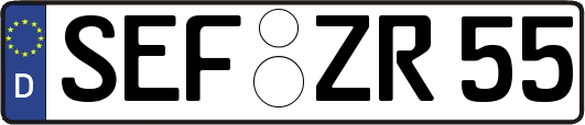SEF-ZR55