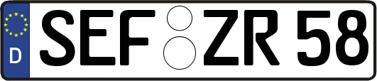 SEF-ZR58