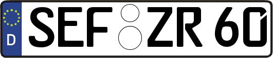 SEF-ZR60