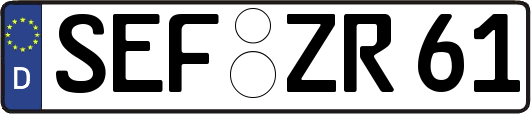 SEF-ZR61