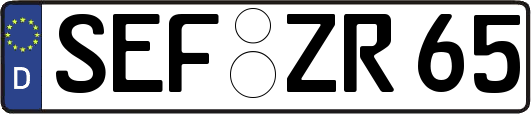 SEF-ZR65