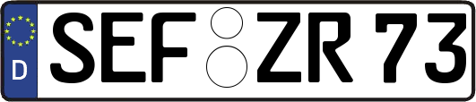 SEF-ZR73