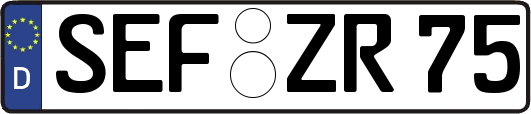 SEF-ZR75