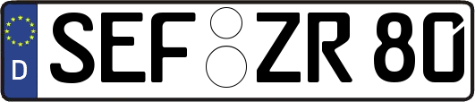 SEF-ZR80