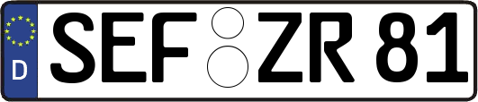 SEF-ZR81