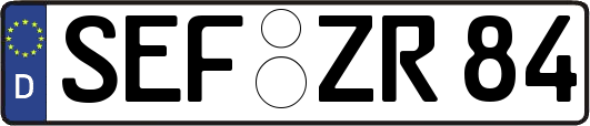 SEF-ZR84