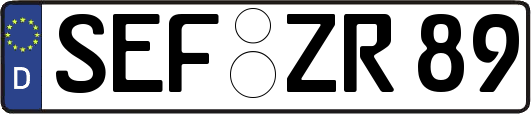 SEF-ZR89