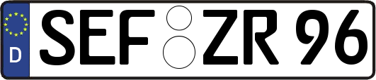 SEF-ZR96