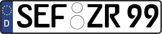SEF-ZR99