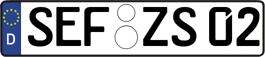 SEF-ZS02