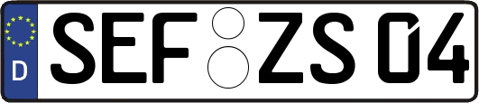 SEF-ZS04