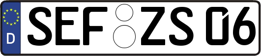 SEF-ZS06