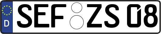 SEF-ZS08