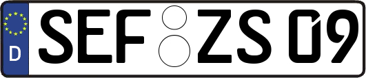 SEF-ZS09