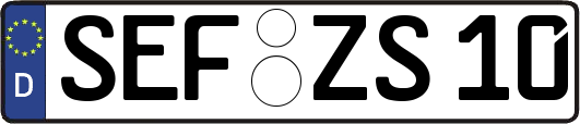 SEF-ZS10