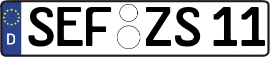 SEF-ZS11