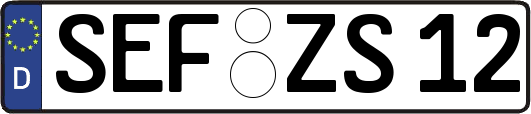 SEF-ZS12